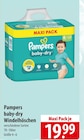 Pampers baby-dry Windelhöschen Angebote bei famila Nordost Neumünster für 19,99 €