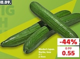 Kaufland - Gurke Angebot im Prospekt Gurke bei Kaufland im Prospekt "" für 0,55 €
