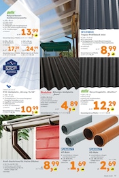 Stegplatten Angebot im aktuellen Globus-Baumarkt Prospekt auf Seite 11