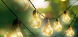 Solar Birnen Lichterkette Angebote bei Netto Marken-Discount Ravensburg für 9,99 €