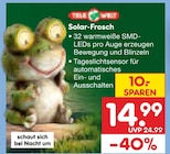 Solar-Frosch Angebote bei Netto Marken-Discount Suhl für 14,99 €