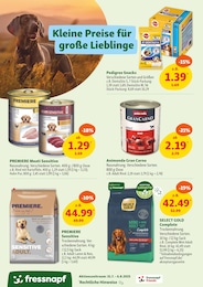 Pedigree Angebot im aktuellen Fressnapf Prospekt auf Seite 13