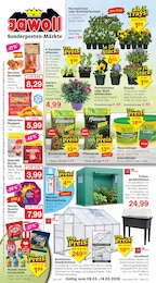 Blumenerde Angebot & Preis im aktuellen Jawoll Prospekt Blumenerde Angebot im aktuellen Jawoll Prospekt auf Seite 1