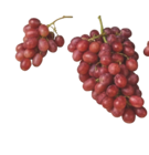 Weintrauben blau, kernlos im tegut Prospekt Weintrauben blau, kernlos von im aktuellen tegut Prospekt für 1,99 €