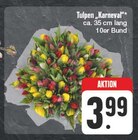 Tulpen "Karneval" Angebote bei EDEKA Hof für 3,99 €