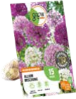 Zierlauch-Blumenzwiebel-Mischung Angebote von GROW by OBI bei OBI Laatzen für 7,99 €