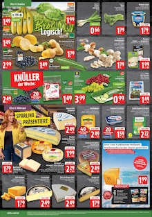 Äpfel im aktuellen EDEKA Prospekt (Mönchengladbach) Äpfel im EDEKA Prospekt "Aktuelle Angebote" mit 8 Seiten (Mönchengladbach)