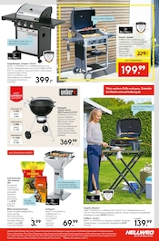 Aktueller Hellweg Prospekt mit Grillzubehör, "Wunderschne Blütenpracht", Seite 3