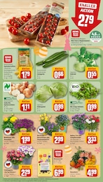 Tiernahrung Angebot im aktuellen REWE Prospekt auf Seite 9