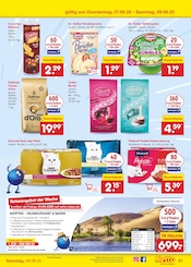 Aktueller Netto Marken-Discount Prospekt mit Handtaschen, "Aktuelle Angebote", Seite 51