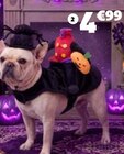 DÉGUISEMENT POUR ANIMAL dans le catalogue Gifi