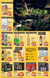 Bier-Mix Angebote im Prospekt "Dein Markt" von REWE Bier-Mix Angebote im Prospekt "Dein Markt" von REWE auf Seite 31