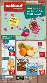 Saft im nahkauf Prospekt in Elmshorn Aktueller nahkauf Prospekt mit Saft, "nichts liegt näher", Seite 1