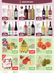 Aktueller aktiv & irma Wardenburg Prospekt aktiv & irma Prospekt Wardenburg "Top Angebote" mit 16 Seiten