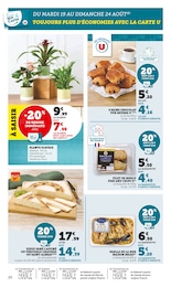 Offre Plante Verte dans le catalogue Super U du moment à la page 20