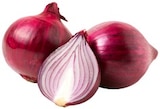Rote Bio Speisezwiebeln im Angebot bei REWE in Hennef Rote Bio Speisezwiebeln Angebote von REWE Bio bei REWE Hennef für 0,99 €