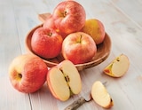 POMME Gala dans le catalogue U Express