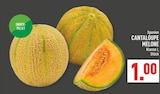Marktkauf Dülmen - Cantaloupe Melone Angebot im Prospekt Cantaloupe Melone bei Marktkauf im Dülmen Prospekt für 1,00 €