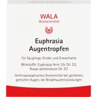 Ausbüttels Schwanen Apotheke Dortmund - WALA Euphrasia Augentropfen Angebot im Prospekt WALA Euphrasia Augentropfen bei Ausbüttels Schwanen Apotheke im Dortmund Prospekt für 8,78 €