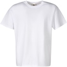 Herren-T-Shirts Angebote von Fruit of the Loom bei Penny Bonn für 16,99 €