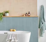 Carrelage intérieur mural Terre coloris naturel 25 x 75 cm - Mykonos en promo chez Castorama Nantes à 19,95 €