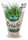 Bio Kräutertopf für 1,29 € bei Netto Marken-Discount im Angebot Bio Kräutertopf im aktuellen Netto Marken-Discount Prospekt