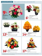 Promos Chrysanthèmes dans le catalogue "LE GOÛT DU RÉCONFORT" de Auchan Hypermarché Chrysanthèmes en promo dans le catalogue Auchan Hypermarché à la page 50