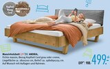 Massivholzbett ANDRIA bei Trends im Witten Prospekt für 499,00 €