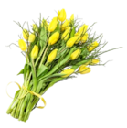 Tulpenstrauß mit Beiwerk im Kaufland Prospekt Tulpenstrauß mit Beiwerk im aktuellen Kaufland Prospekt für 9,99 €