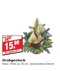Grabgesteck im Angebot bei bauSpezi in Erlangen Grabgesteck Angebote bei bauSpezi Erlangen für 15,99 €
