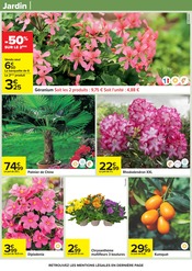 Promos Chrysanthèmes dans le catalogue "PÂQUES POUR TOUS LES GOÛTS" de Carrefour Chrysanthèmes en promo dans le catalogue Carrefour à la page 87