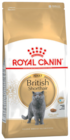 Adult British Shorthair von Royal Canin im aktuellen Fressnapf Prospekt für 1,39 €