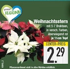 Weihnachtsstern von  im aktuellen EDEKA Prospekt für 2,29 €