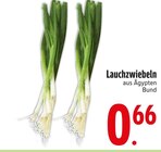 Lauchzwiebeln im aktuellen EDEKA Prospekt