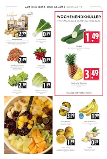 Tomaten im Hieber Prospekt "Aktuelle Angebote" mit 19 Seiten (Freiburg (Breisgau))