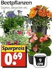 Beetpflanzen bei Wreesmann im Weimar Prospekt für 0,69 €