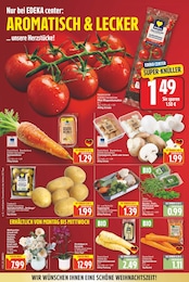 Garten Angebot im aktuellen E center Prospekt auf Seite 2