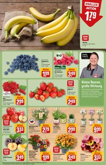 Bananen im aktuellen REWE Prospekt (München) Bananen im REWE Prospekt "Dein Markt" mit 30 Seiten (München)