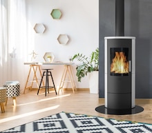 Fireplace Kaminofen Roma Angebot in Püttlingen im aktuellen Prospekt bei Globus-Baumarkt in Püttlingen