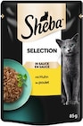 Aktuelles Katzennahrung Selection in Sauce Angebot bei REWE in Düsseldorf ab 0,49 €
