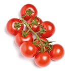 Cocktail-Rispentomaten bei Netto mit dem Scottie im Prospekt  für 1,79 €