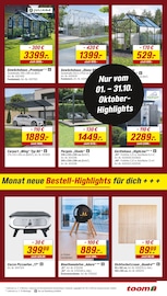 Kamin Angebote im Prospekt "Respekt, wer's selber macht." von toom Baumarkt Kamin Angebote im Prospekt "Respekt, wer's selber macht." von toom Baumarkt auf Seite 9