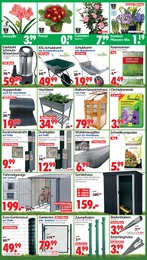 Wreesmann Rasen im Prospekt 