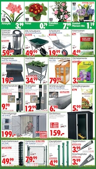 Sonnenschirm im aktuellen Wreesmann Prospekt (Dresden) Sonnenschirm im Wreesmann Prospekt "DEIN SAISON- & SONDERPOSTENMARKT!" mit 8 Seiten (Dresden)