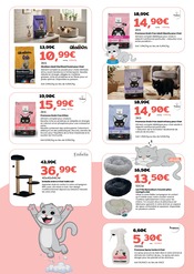 Promos Coussin Chat dans le catalogue "FAITES LE PLEIN POUR LA RENTRÉE CHEZ JMT !" de JMT LE ROYAUME DES ANIMAUX à la page 6 Promos Coussin Chat dans le catalogue "FAITES LE PLEIN POUR LA RENTRÉE CHEZ JMT !" de JMT LE ROYAUME DES ANIMAUX à la page 6