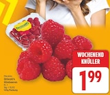 Himbeeren von Driscoll's für 1,99 € bei E center im Angebot Himbeeren von Driscoll's im aktuellen E center Prospekt
