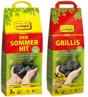 Grillis oder Grill-Holzkohle Der Sommerhit im Angebot bei REWE in Bocholt Grillis oder Grill-Holzkohle Der Sommerhit Angebote von proFagus bei REWE Bocholt für 7,49 €