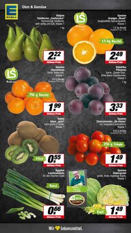 Tomaten im aktuellen E center Prospekt (Münster) Tomaten im E center Prospekt "Aktuelle Angebote" mit 20 Seiten (Münster)