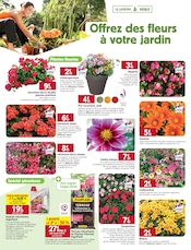Géranium en promo dans le catalogue LaMaison.fr à la page 2