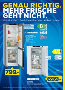 Kühlschrank im EURONICS Prospekt "GENAU RICHTIG. DIE DEALS DES SOMMERS." mit 14 Seiten (Frankfurt (Oder))